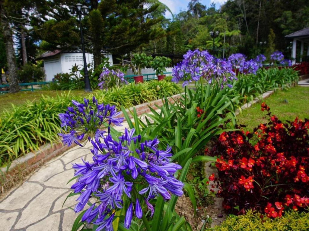 Camlodge Budget Hotel Cameron Highlands Zewnętrze zdjęcie