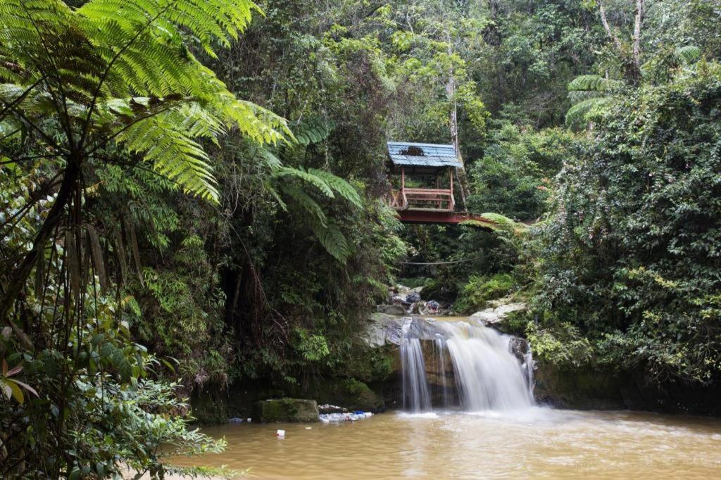 Camlodge Budget Hotel Cameron Highlands Zewnętrze zdjęcie
