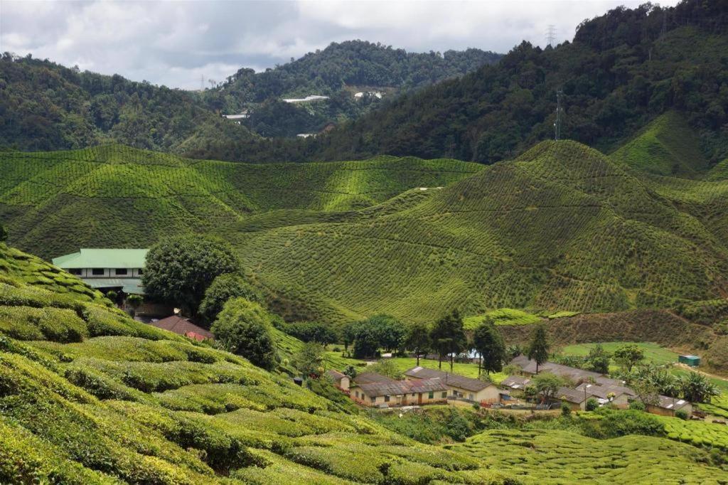Camlodge Budget Hotel Cameron Highlands Zewnętrze zdjęcie