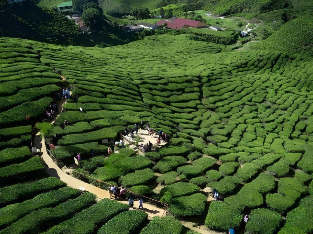 Camlodge Budget Hotel Cameron Highlands Zewnętrze zdjęcie